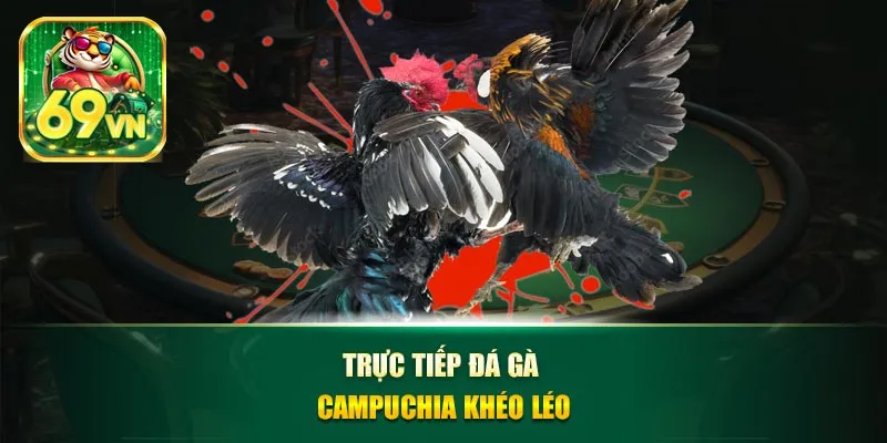 Trực tiếp đá gà campuchia khéo léo