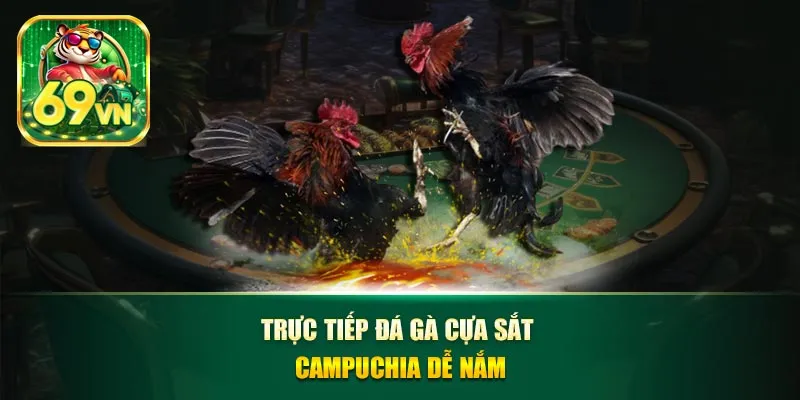 Trực tiếp đá gà cựa sắt campuchia dễ nắm