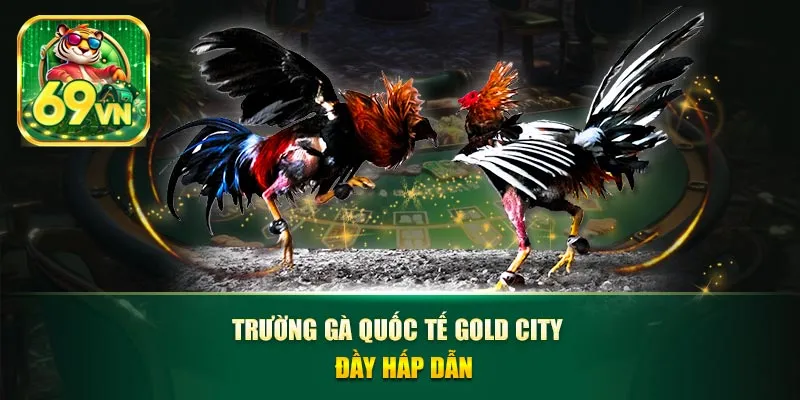 Trường gà quốc tế gold city đầy hấp dẫn