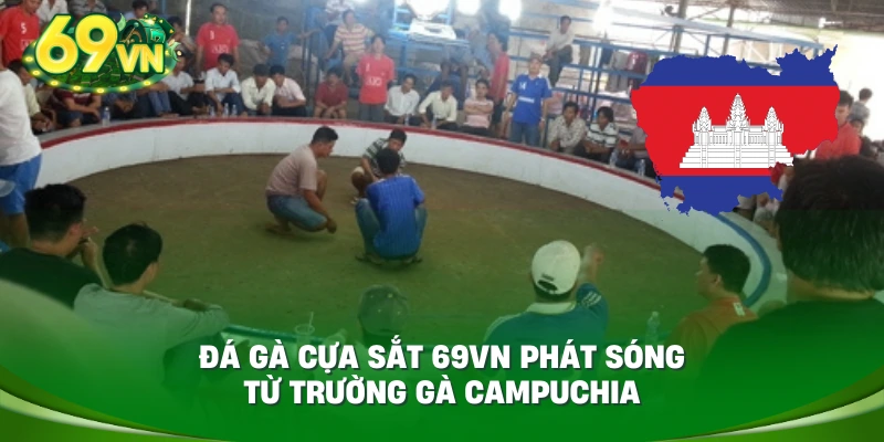 Đá gà cựa sắt 69VN phát sóng từ trường gà Campuchia