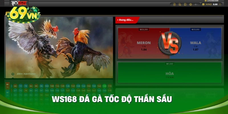 WS168 đá gà tốc độ thần sầu